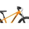 BICICLETA WILD CROSS 20 AZUL KTM — traseira