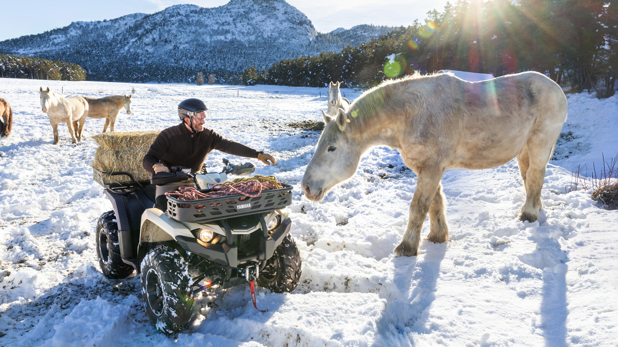 QUAD KODIAK 450 KIWAMI YAMAHA — vista geral