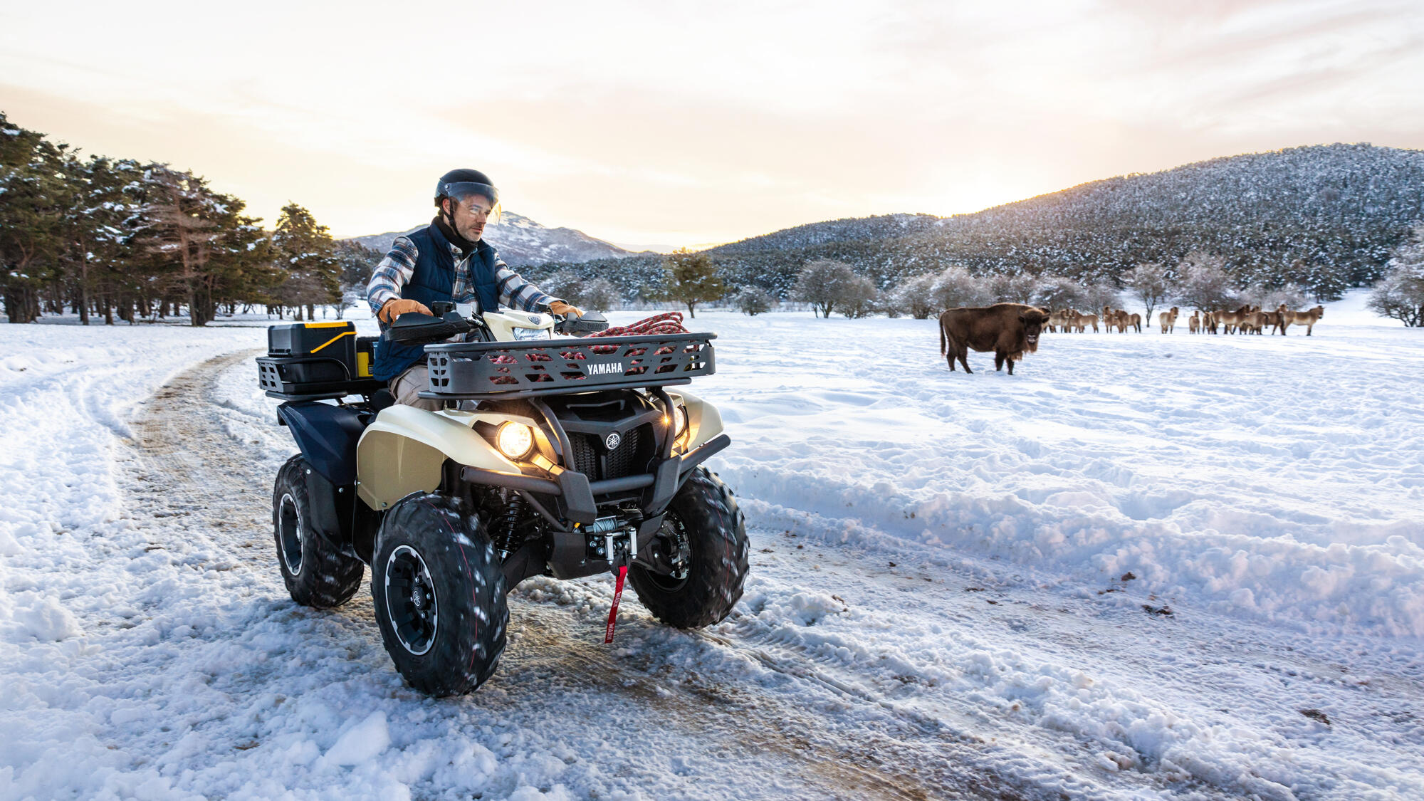 QUAD KODIAK 700 KIWAMI YAMAHA — vista geral